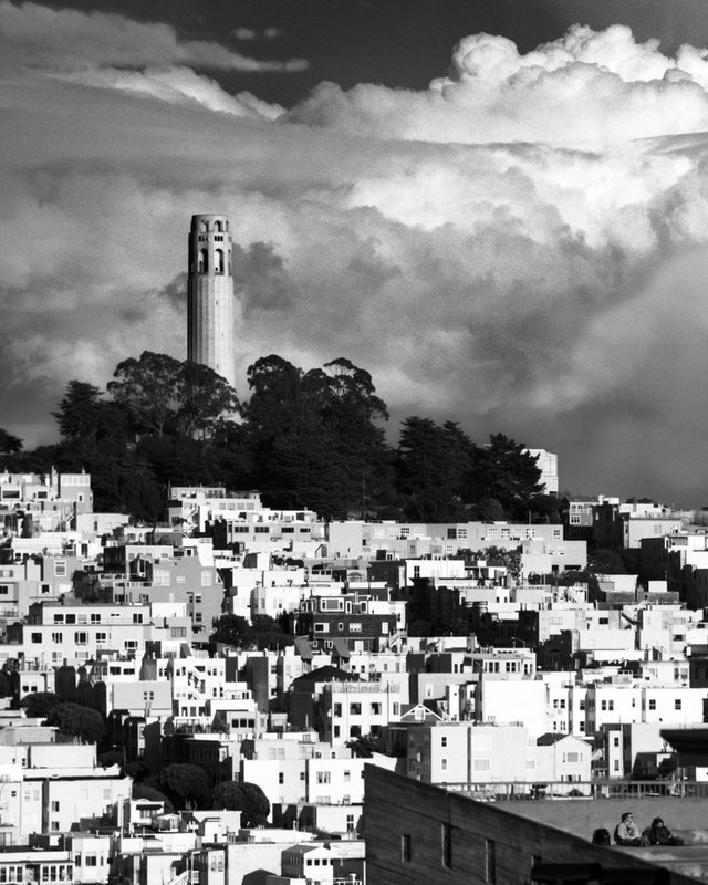 San Francisco -- Coit Tower Secret - Rectangle.jpg :: Coit Tower and the top of Telegraph Hill.  Exposed at 515 PM on March 12, 2006 on TMAX 100 film through a 250 mm lens behind a red filter on a Hasselblad 500 CM.  The lens was set at an aperture of f11 at a shutter speed of one quarter second.