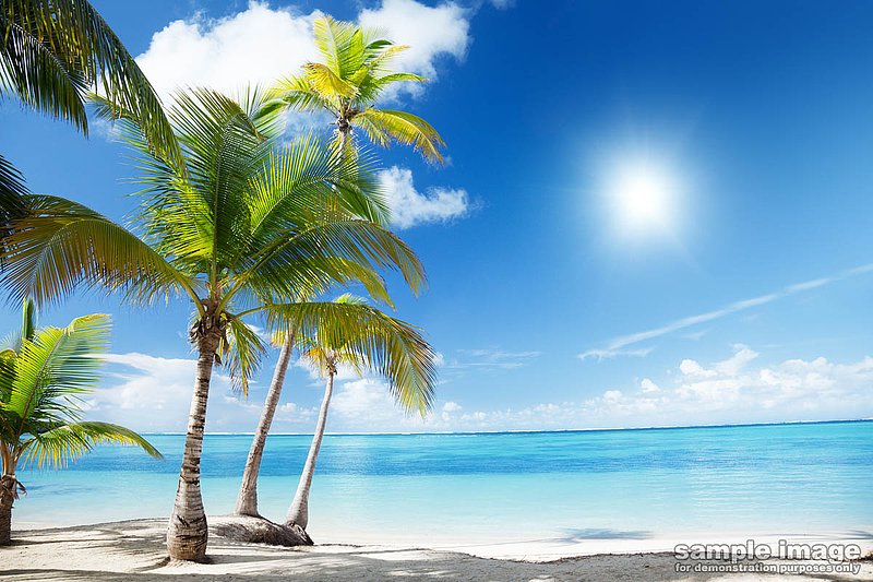 nature-bp-004.jpg :: tropical beach with palm trees