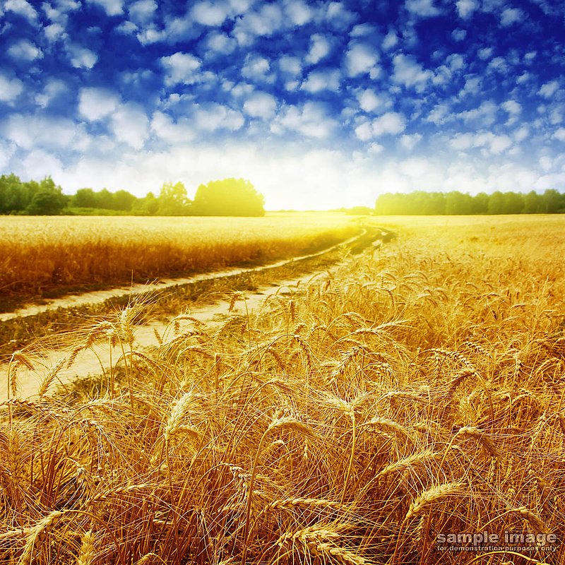 roads-bp-005.jpg