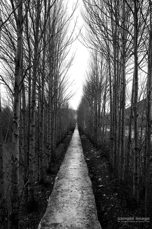 roads-bp-010.jpg