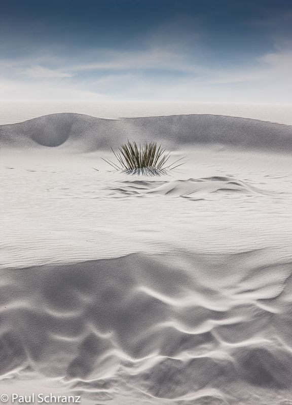 White Sands Textures - 2008.jpg