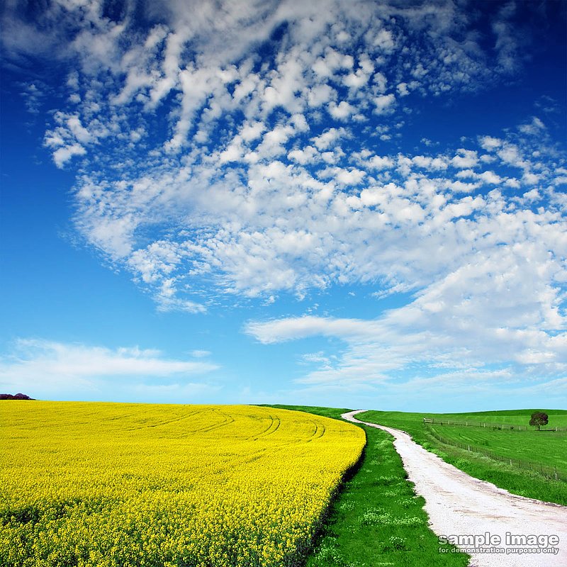 nature-bp-010.jpg :: sunny sky over lush fields and road