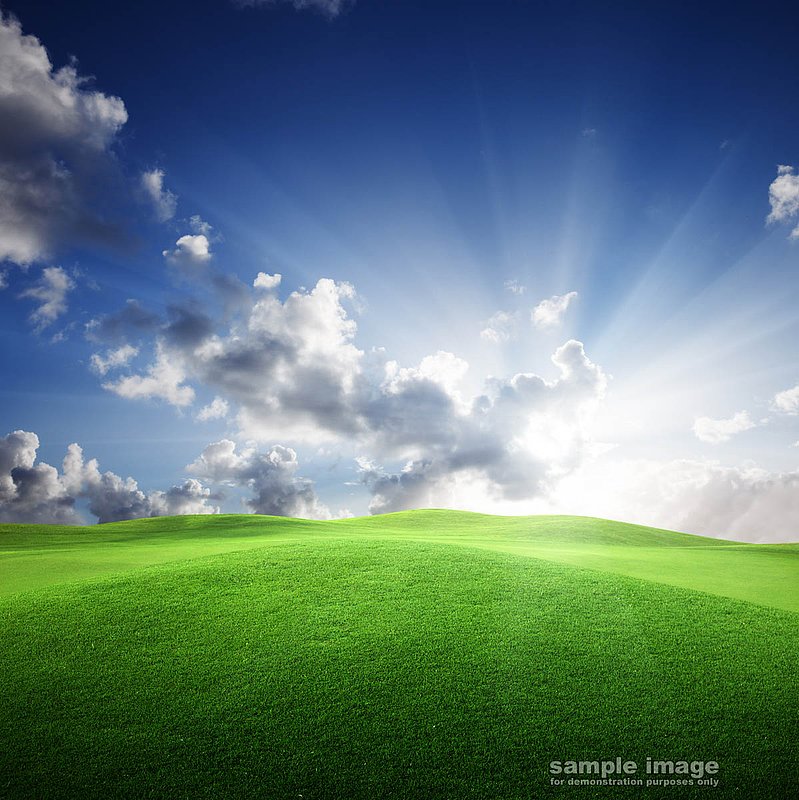 nature-bp-020.jpg :: sunny skies over lush field