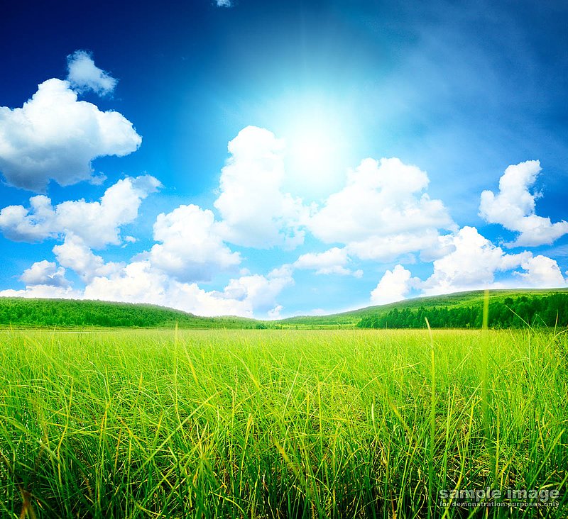 nature-bp-026.jpg :: sunny sky over lush fields