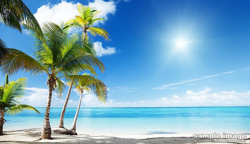 nature-bp-036.jpg :: tropical beach with palm trees