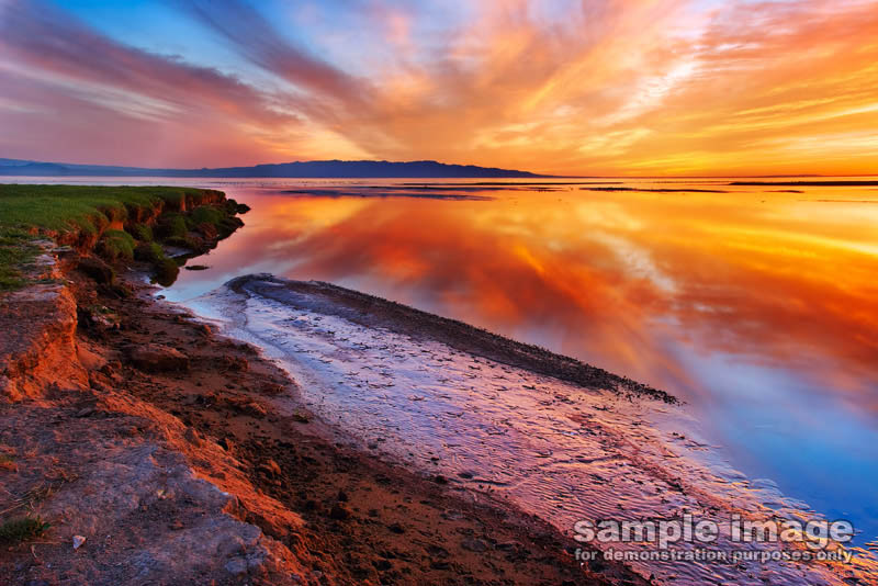 nature-sp-003.jpg