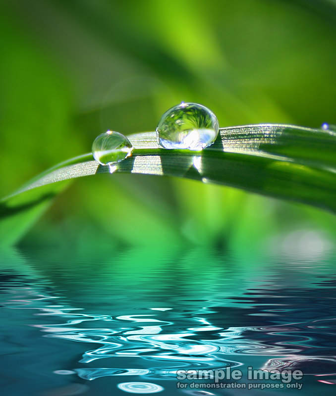 nature-sp-008.jpg
