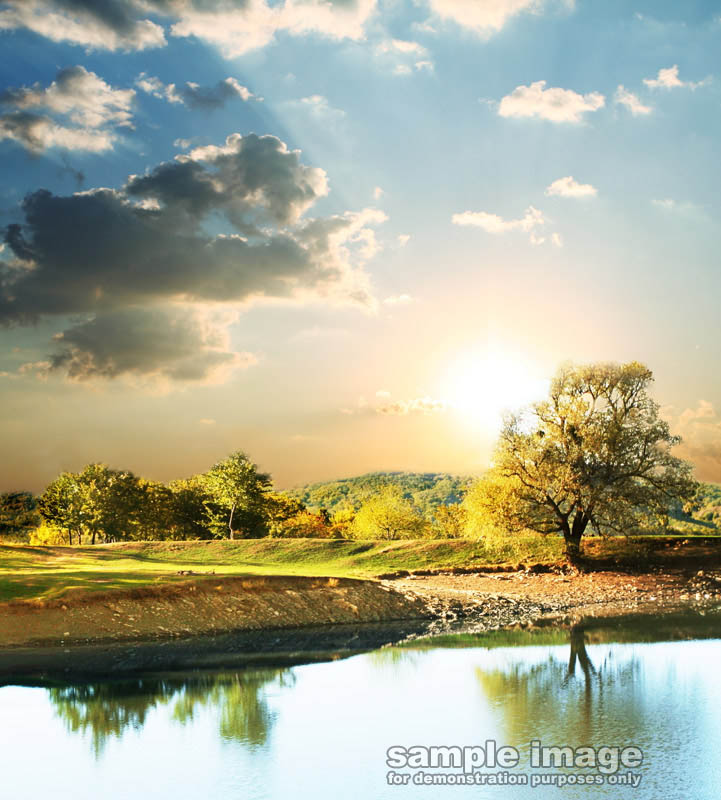 nature-sp-012.jpg