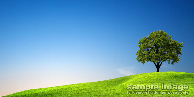 nature-sp-029.jpg