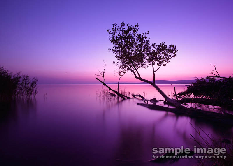 nature-sp-031.jpg