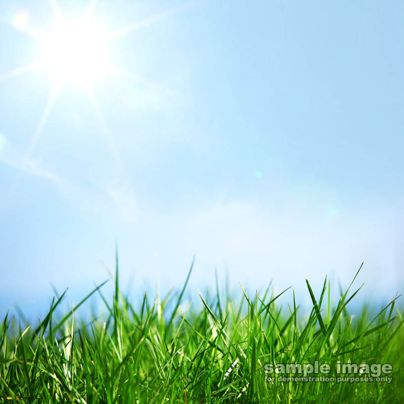 nature-sp-036.jpg