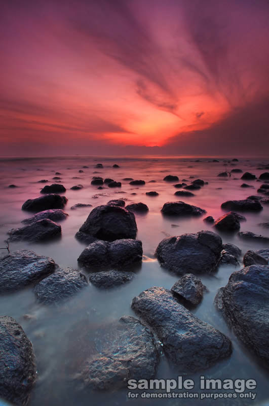 nature-sp-047.jpg