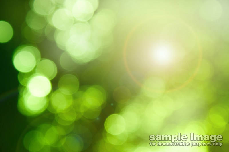 nature-sp-051.jpg