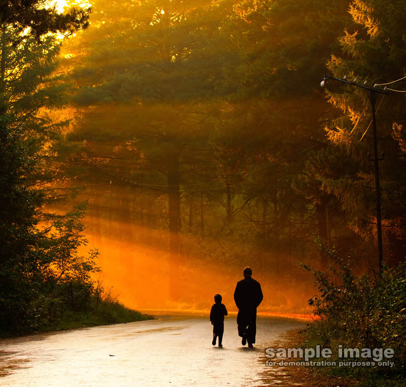 sillouettes-sp-010.jpg