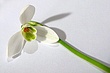 33-1200780364EhOa.jpg