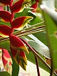 DSCN2160.jpg