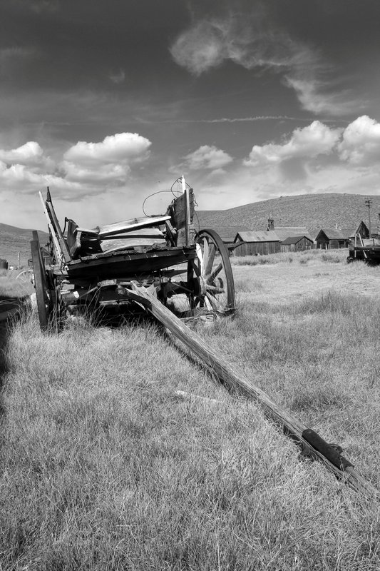 Bodie Welcome Wagon.jpg