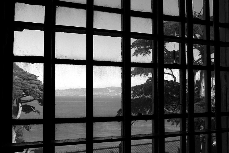 Window to the Outside.jpg