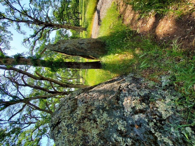 Hidden Pathway.jpg