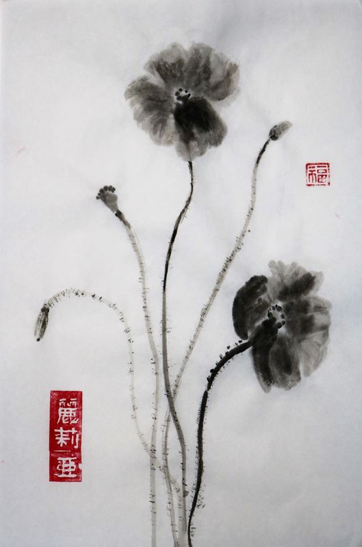 Sumi 2.jpg
