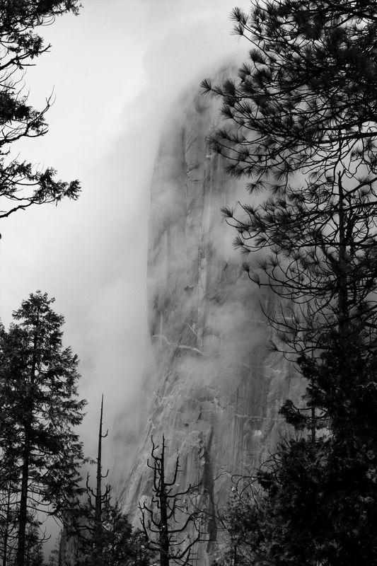 Yosemite 1.jpg