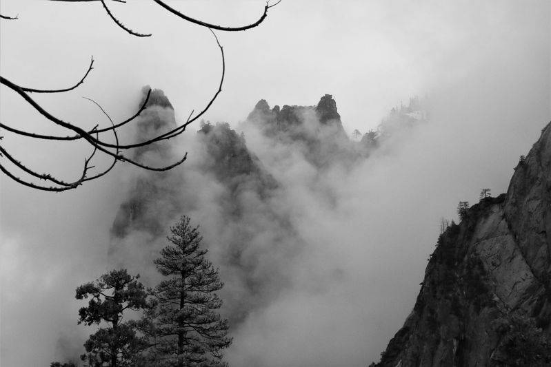 Yosemite 3.jpg