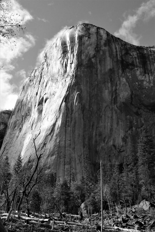 Yosemite 8.jpg