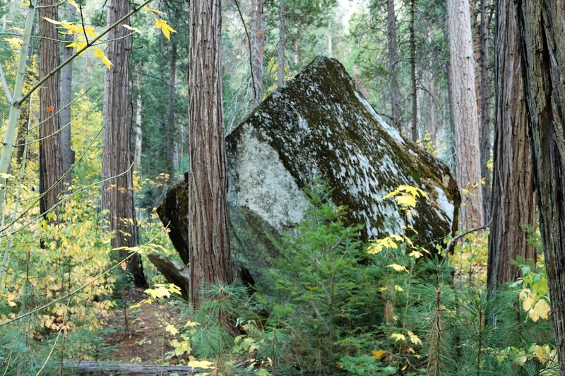 Yosemite Landscape.jpg