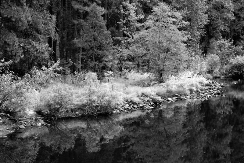 Yosemite Reflections.jpg