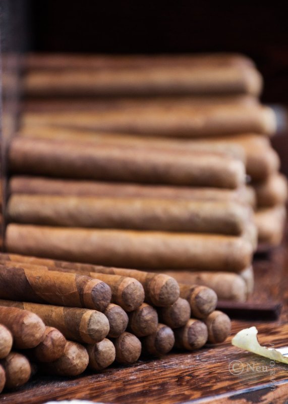 Duvall Street Cigars.jpg