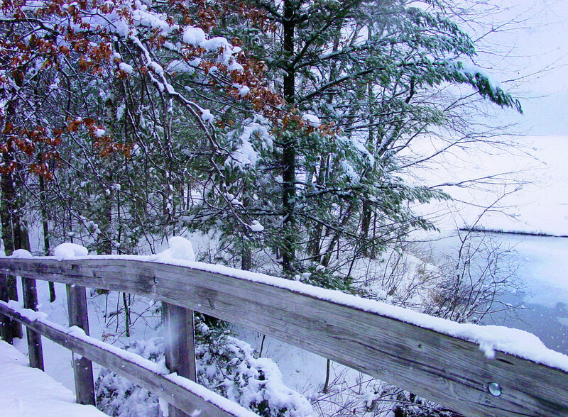 Christmas Card Day(1).jpg