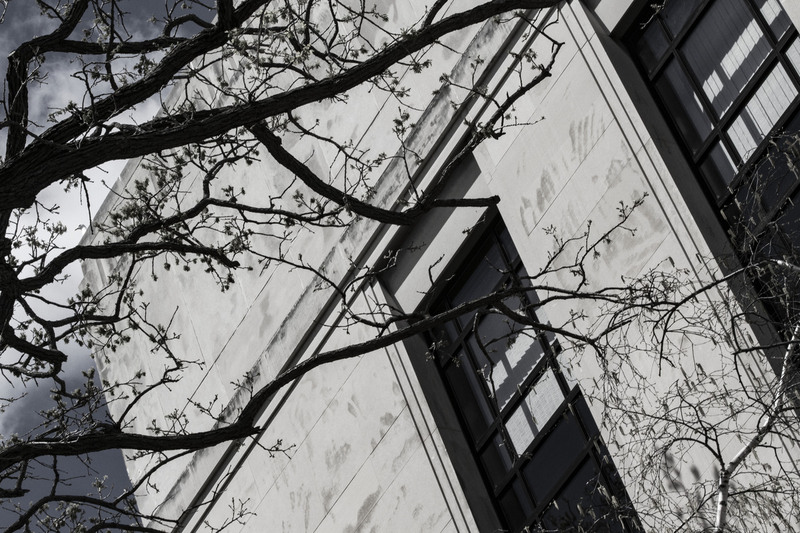 IMG_0768 final edit 24x36.jpg