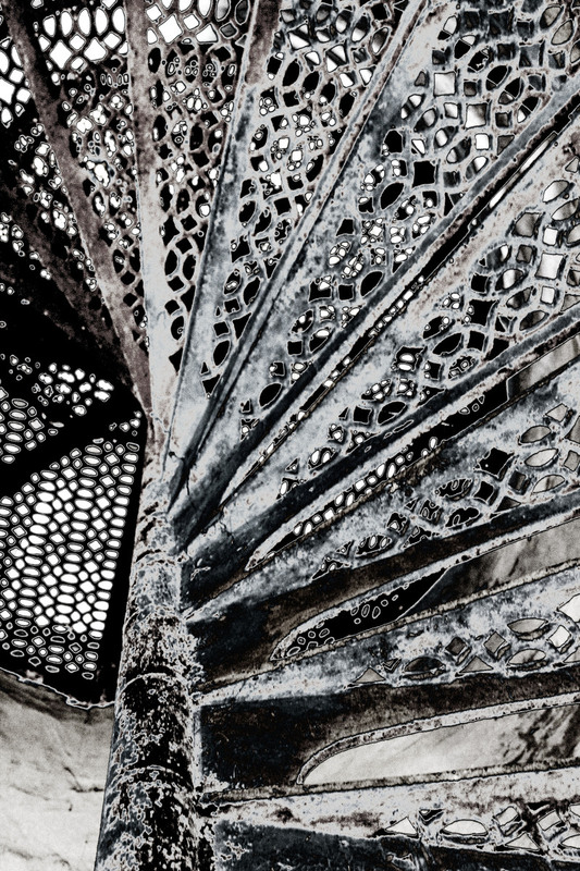 IMG_1295_1 _ blk wht1.jpg