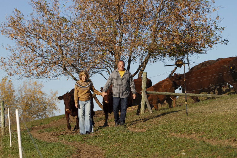 IMG_1365 11x165(1).jpg