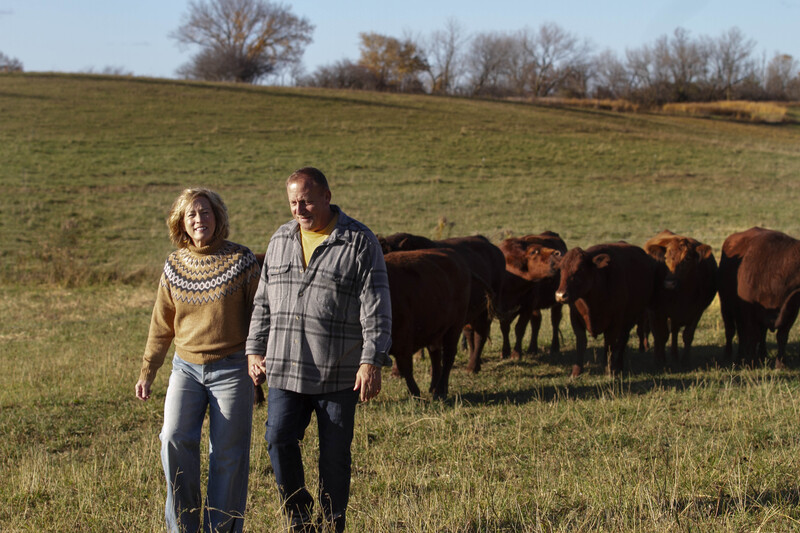 IMG_1494 11x165(1).jpg