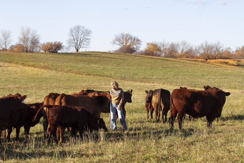 IMG_1540 11x165(1).jpg