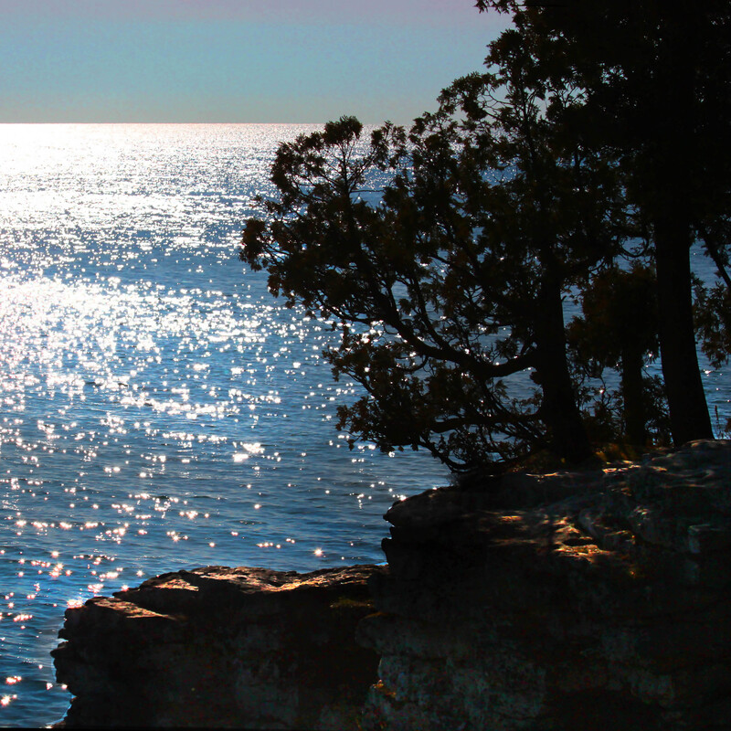 IMG_2650 - 10x10.jpg