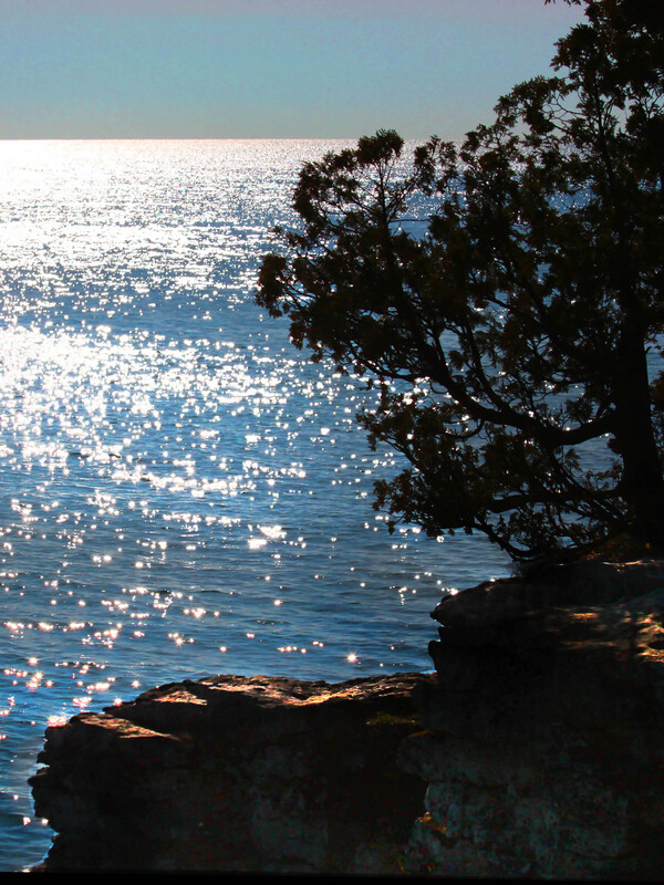 IMG_2650 - 9x12_.jpg