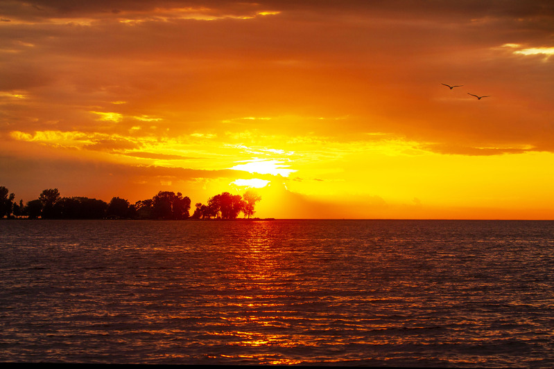 IMG_2692 edited 20x30.jpg