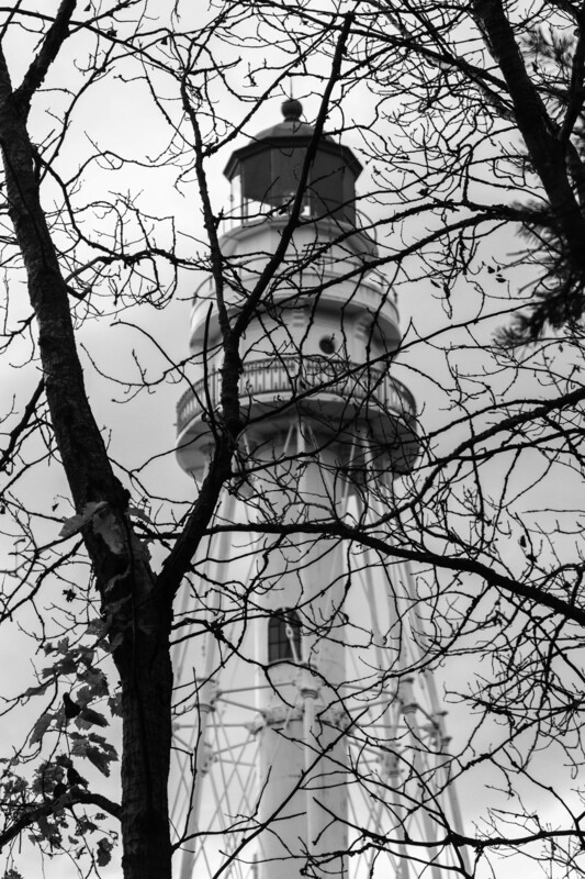 IMG_4096_2 - Copy.jpg