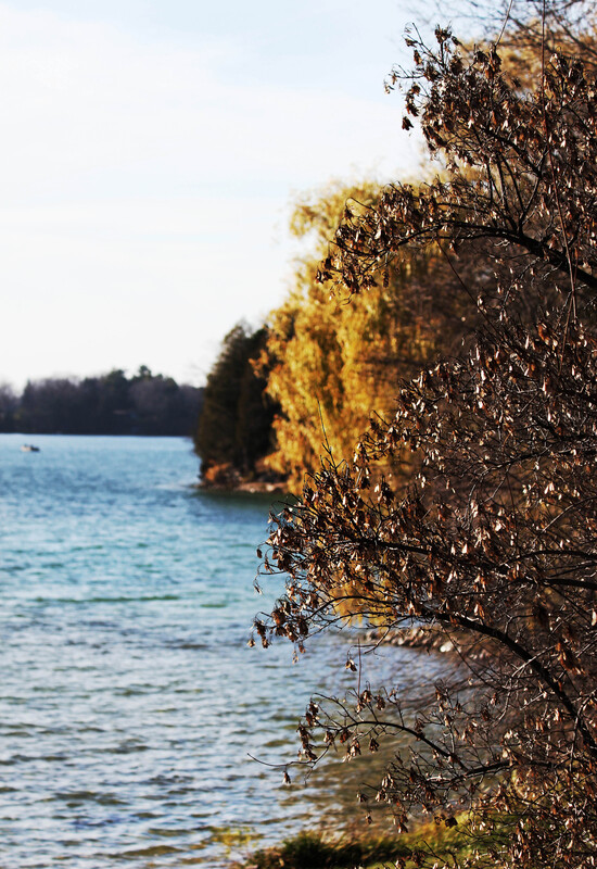 IMG_5198 11x16 _2.jpg