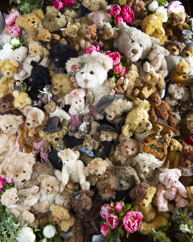 IMG_5668bear test one(1).jpg