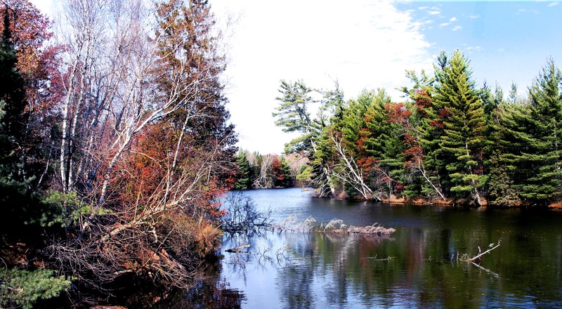 IMG_9465 20x11 (2)(1).jpg