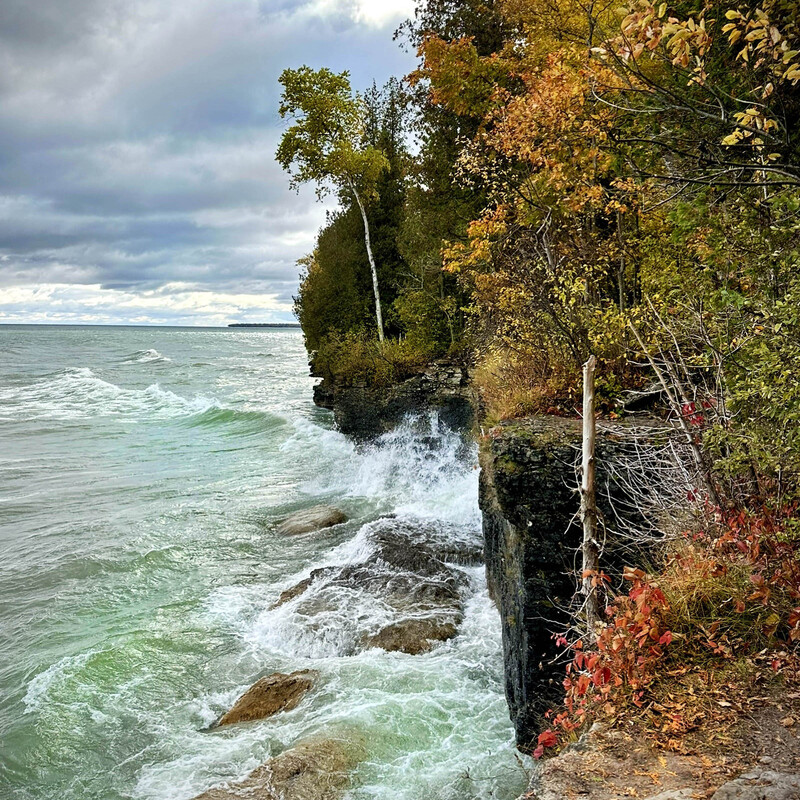 IMG_9868 - 10x10.jpg