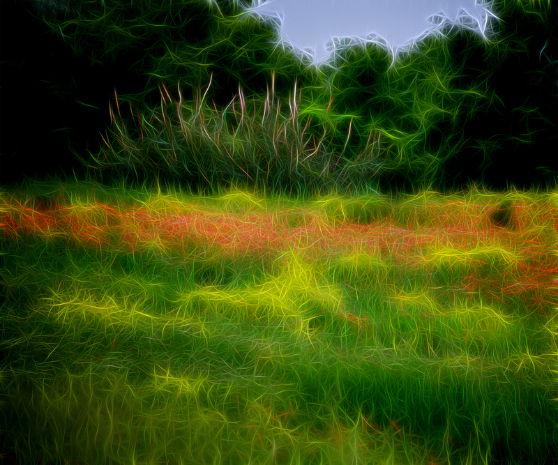 165 Tuscany Landscape (1).jpg :: 165 Tuscany Landscape 