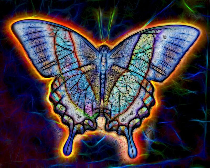 168 Butterfly(1).jpg :: 168 Butterfly