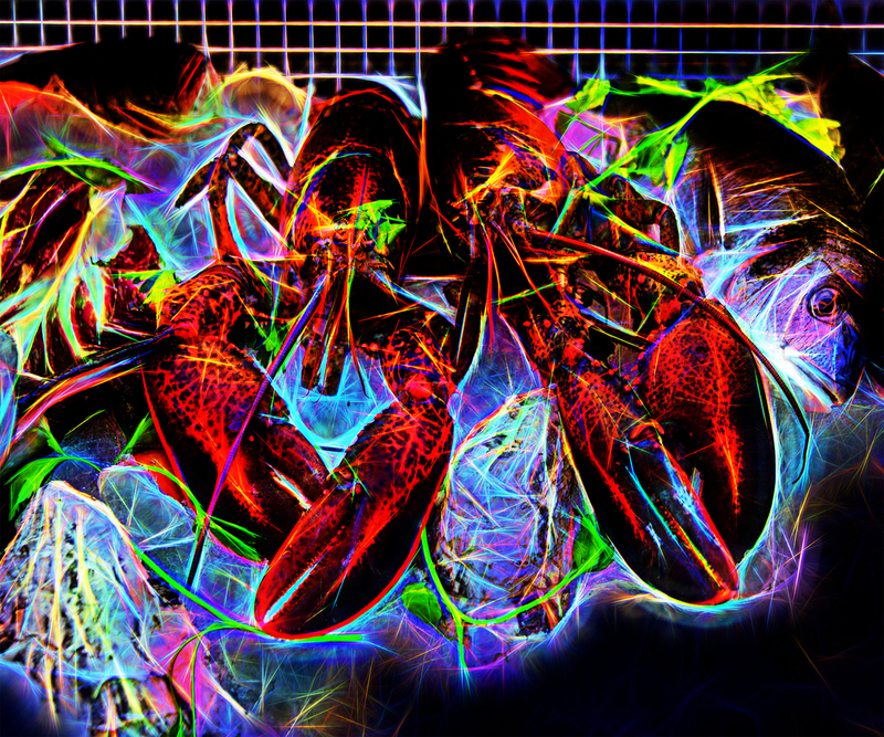 179 Lobsters 2500(1).jpg :: 179 Lobsters 