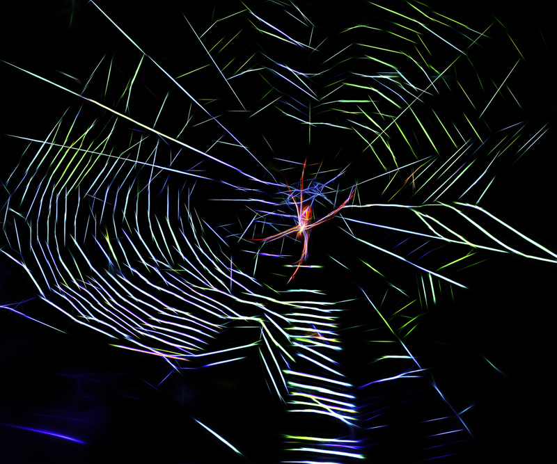187 Spider(1).jpg :: 187 Spider