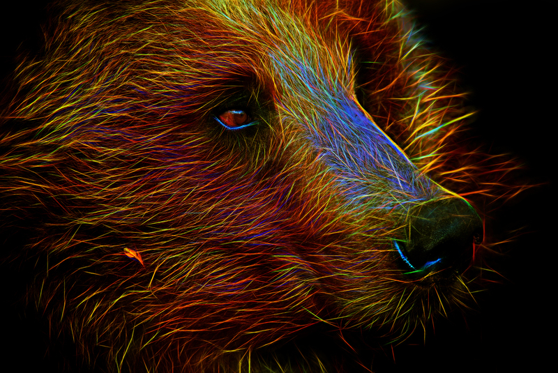 251 Bear copy(1).jpg :: 251 Bear 