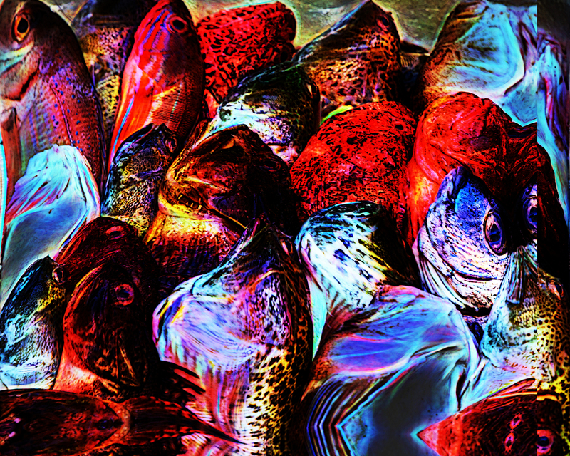 293 Fish Heads(2).jpg :: 293 Fish Heads